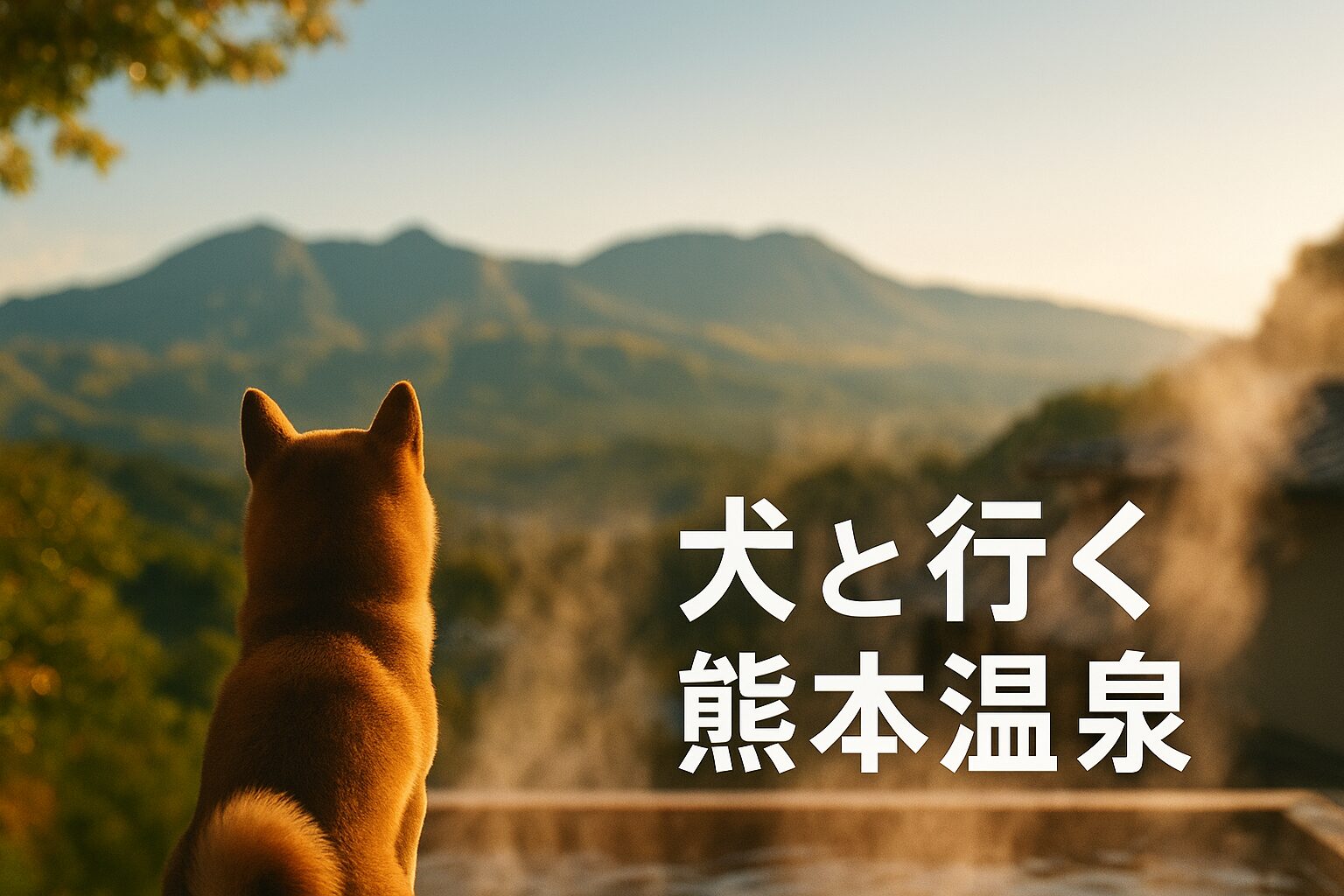 犬と泊まれる温泉　熊本