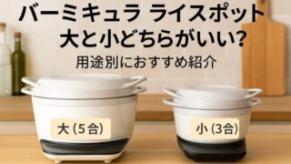 バーミキュラライスポット 大と小どちらがいい？
