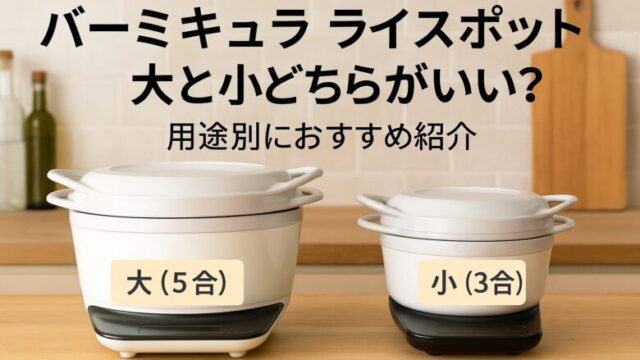 バーミキュラライスポット 大と小どちらがいい？